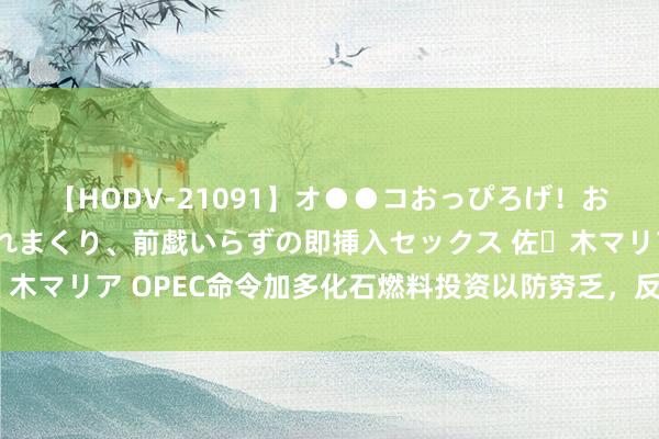 【HODV-21091】オ●●コおっぴろげ！お姉ちゃん 四六時中濡れまくり、前戯いらずの即挿入セックス 佐々木マリア OPEC命令加多化石燃料投资以防穷乏，反驳需求见顶预测