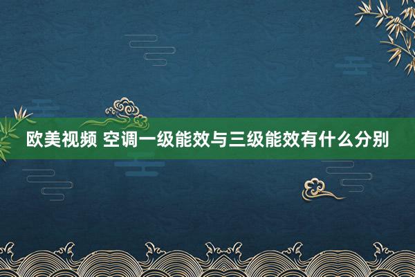 欧美视频 空调一级能效与三级能效有什么分别