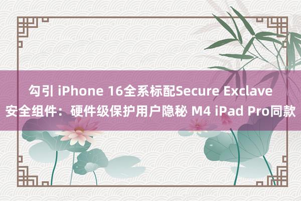 勾引 iPhone 16全系标配Secure Exclave安全组件：硬件级保护用户隐秘 M4 iPad Pro同款