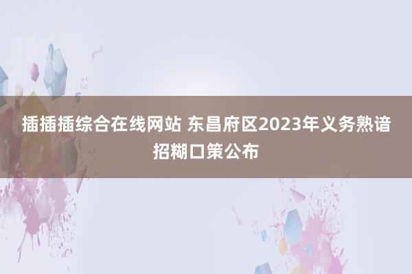 插插插综合在线网站 东昌府区2023年义务熟谙招糊口策公布