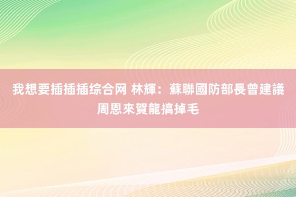 我想要插插插综合网 林輝：蘇聯國防部長曾建議周恩來賀龍搞掉毛